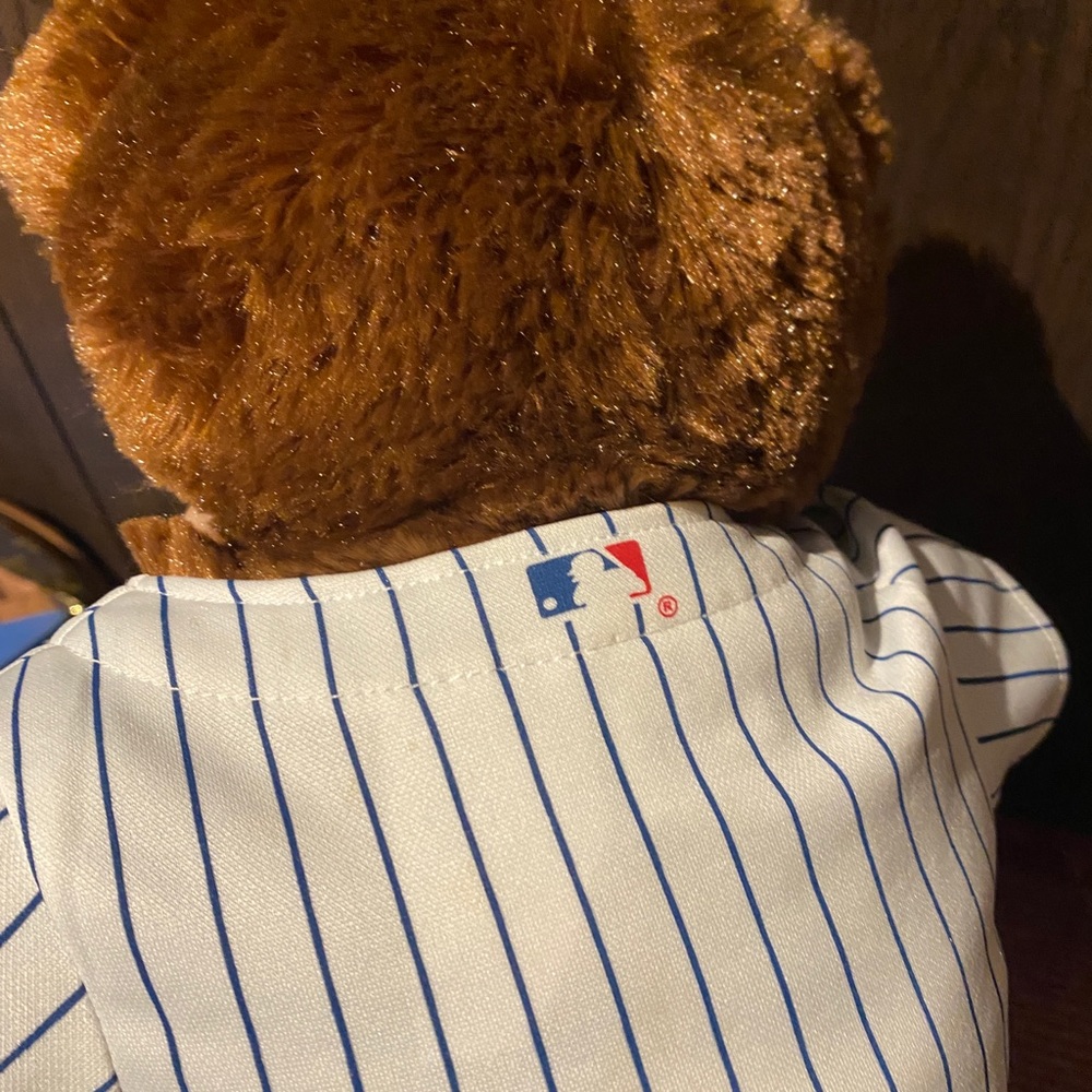 Build a bear CUBS - Picture 3 of 4